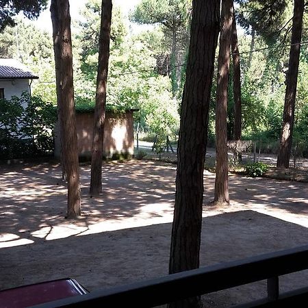 Hotel Riviera Marina di Ravenna Dış mekan fotoğraf