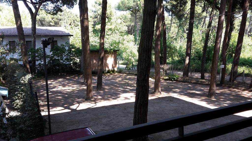 Hotel Riviera Marina di Ravenna Dış mekan fotoğraf